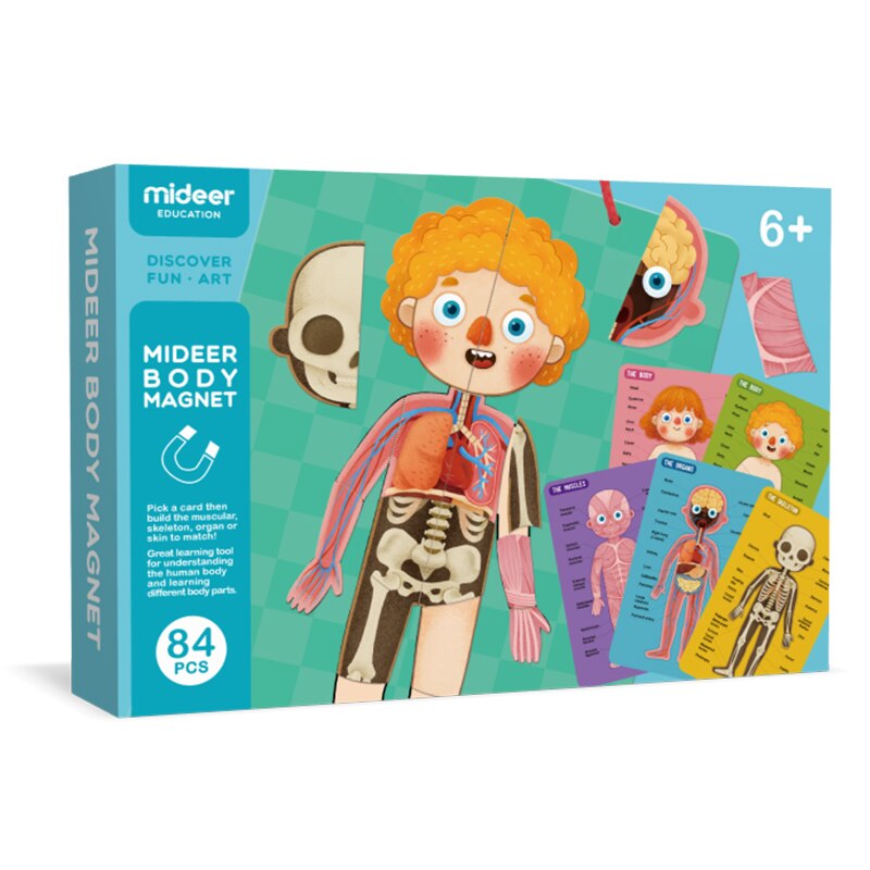 Mideer baby puslespil magnetisk krop 6y+  muskel knoglestruktur kognition hængebræt undervisningslegetøj til børn: Default Title