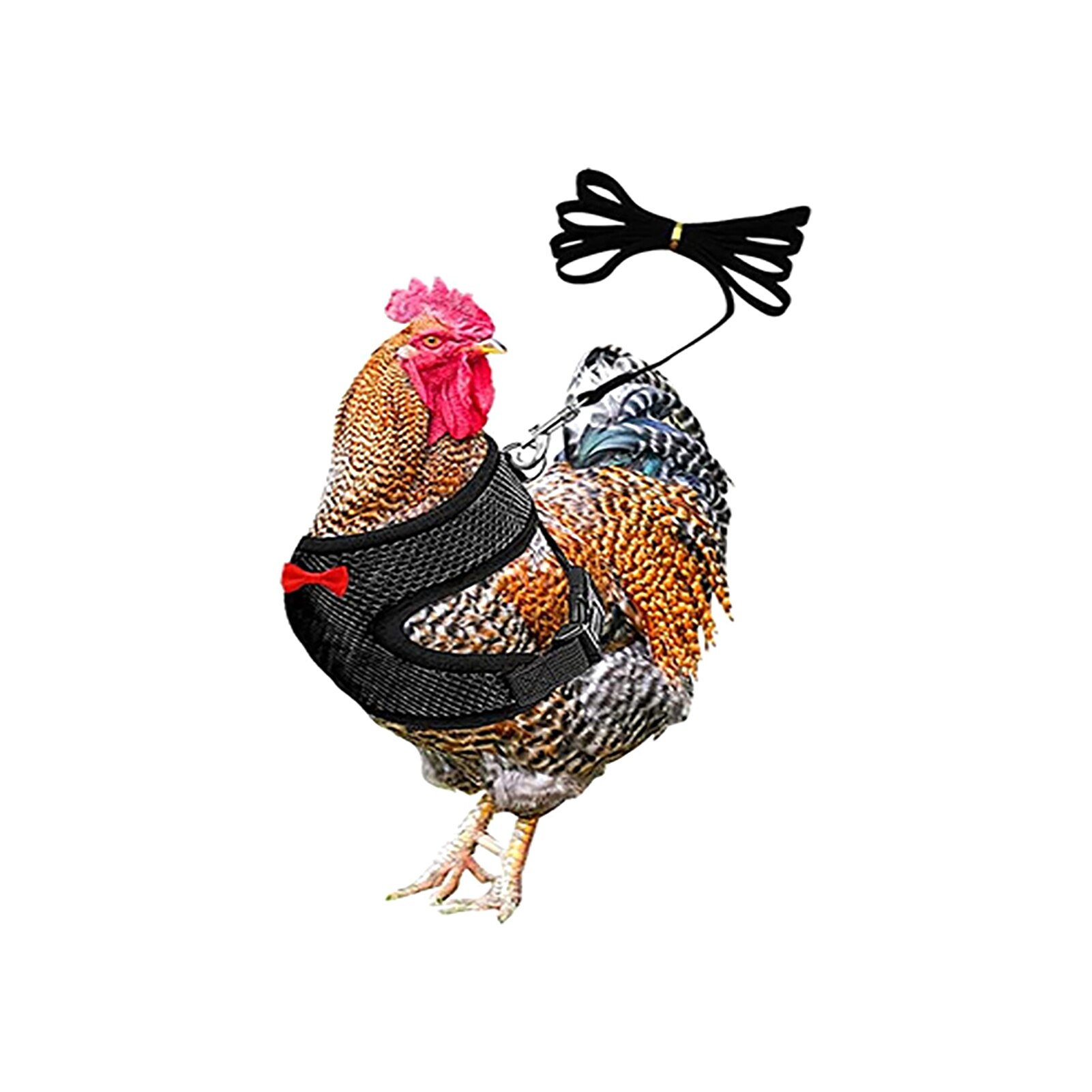 Pettorina per pollo da allenamento per ciotole forniture per pollame cinturino regolabile elastico con guinzaglio a passeggio all'aperto la moda maglia galline gilet per animali domestici: nero / M