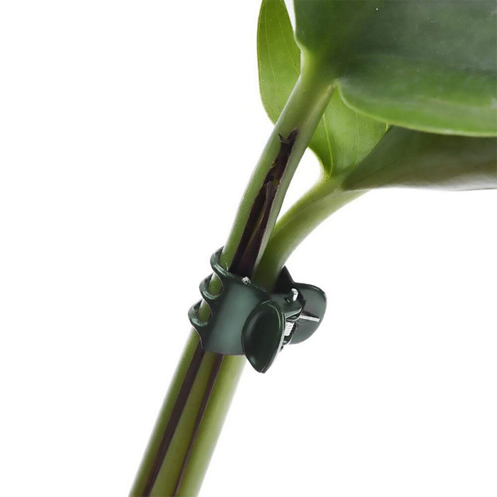 Pinzas de plástico para plantas y orquídeas, pinzas para plantar orquídeas, abrazadera de soporte para flores, tallos de soporte para vid, herramienta para cultivar jardines