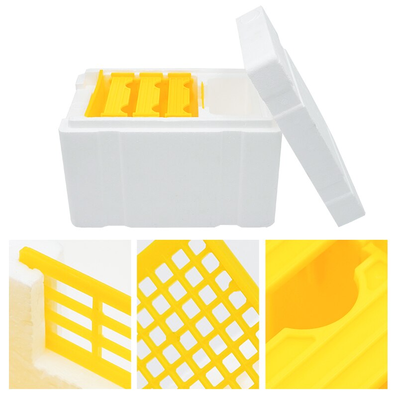 1 Set Beekeeping King BeeHive Tools Foam Beehives Nuc Harvest Pollination Box Beekeeper Bee Rearing Mating Hive Box Apiculture