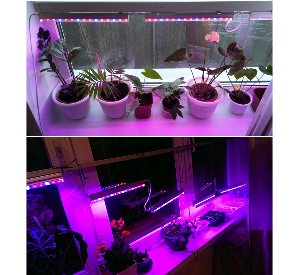 Led vækstlys fuldt spektrum indendørs plantelampe  t5 tube bar lys 5730 smd led phyto lamper hydroponic drivhus growbox 85-265v