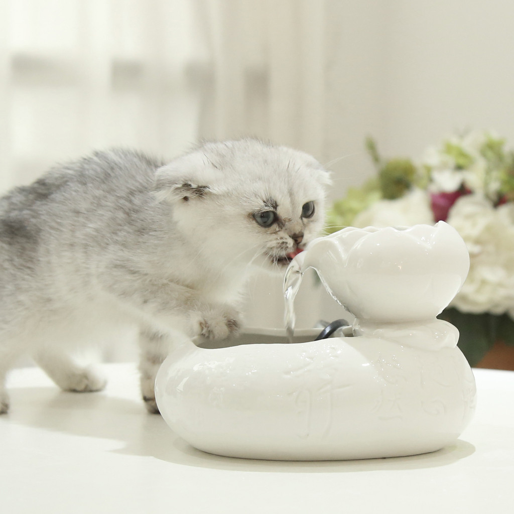 Cat Water Fountain Electric Water Fountain Dog Cat Pet Drinker Bowl Pet Cat Drinking Fountain Dispenser gato Feeding Supplies