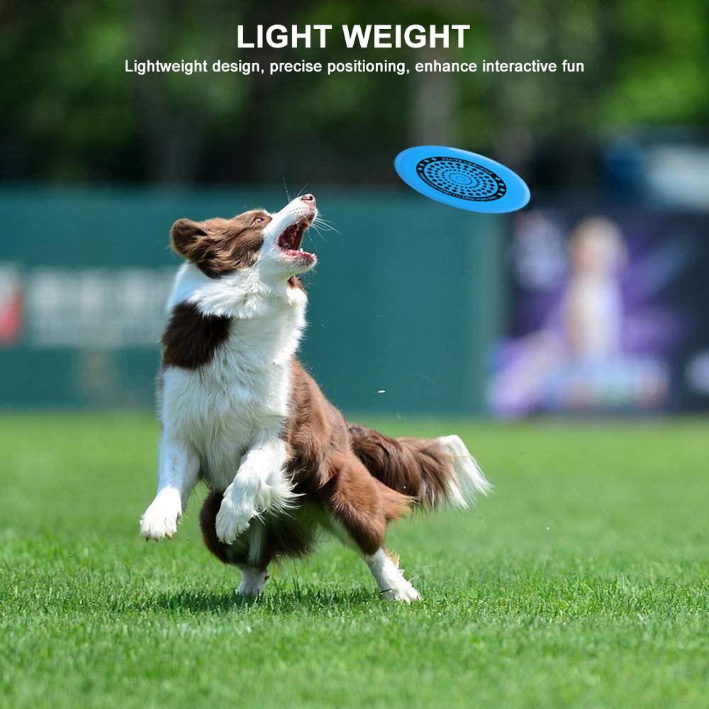 Ultimate Flying Disc