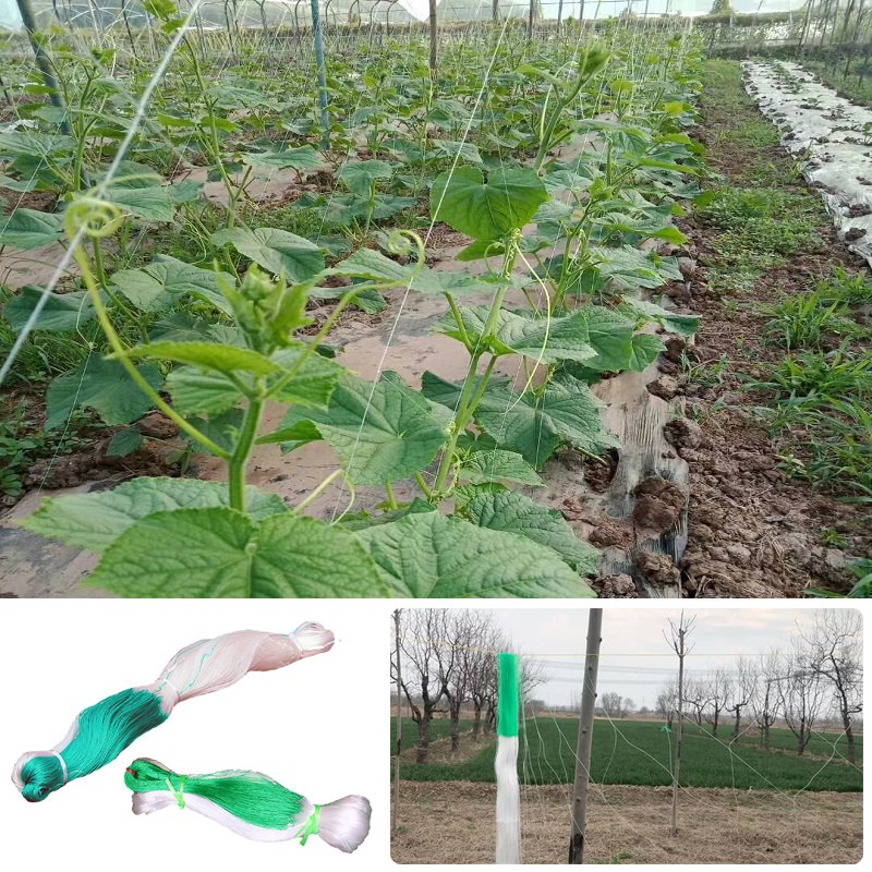 Siatka kratowa robić uprawiania roślin rolniczych Wytrzymała poliestrowa siatka wspierająca rośliny Winorośl Narzędzia robić wspinaczki Sadzenie Fasola i melony Wielofunkcyjne zastosowanie