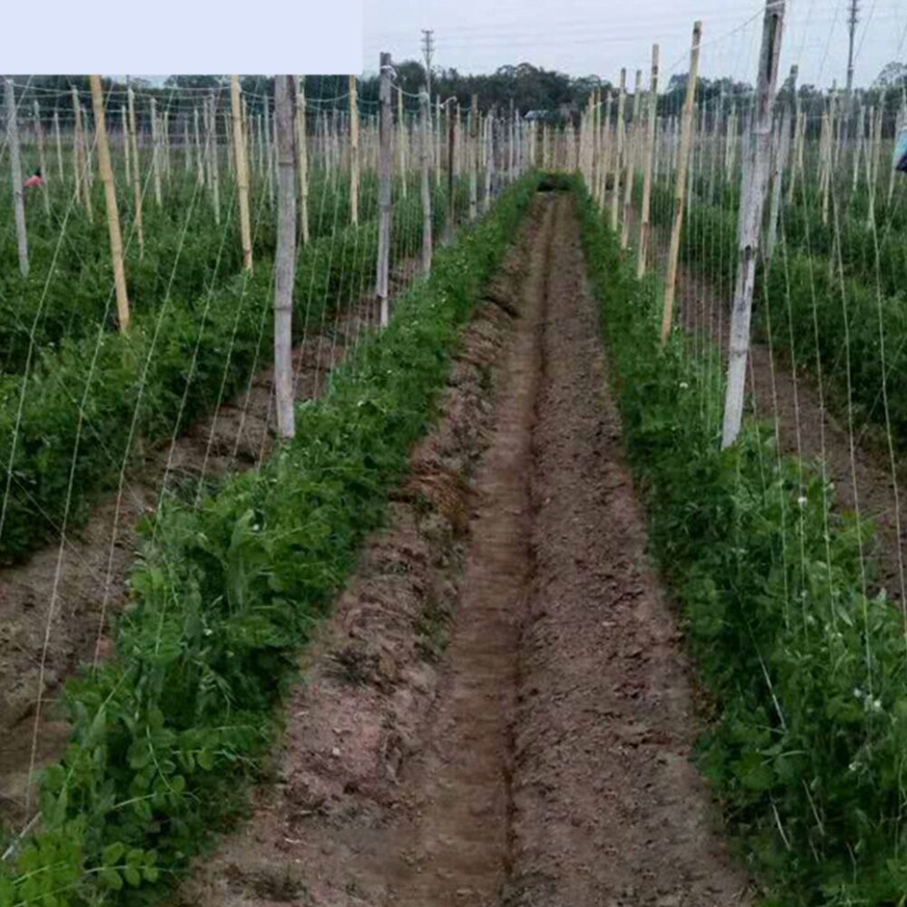 1.8x1.8m Grow Fence Bean Trellis Nylon Anti Pest Plant Strawberry Support Protect Seedling Crops Climbing Frame Garden Netting