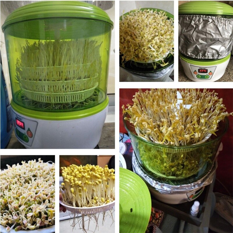 Bean sprouts machine bean sprout maker machine bean growing machine for home use
