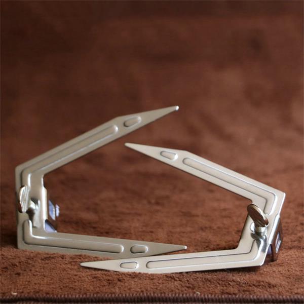 Oven Accessoires Rotisserie Gebruiksvoorwerp Rvs Gebraden Kip Spies Cook Bbq Gegrilde Kip Vork Rack Plank 38/41.5/45Cm: 2pcs Oven Utensils