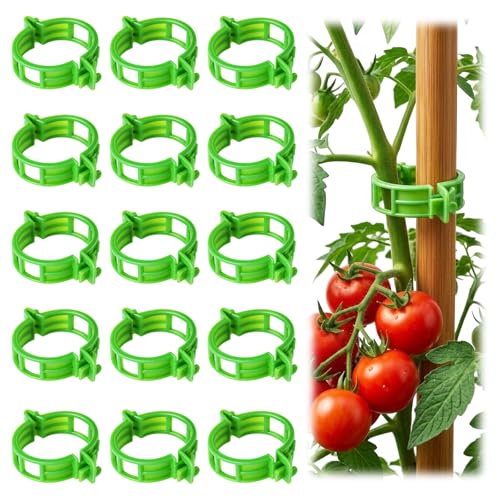 600/10x Plant Support Clips Climbing Plants Fixing Clips Grape and Vine Vegetables Buckle Prevent Tomatoes From Falling Off: 4XL / green