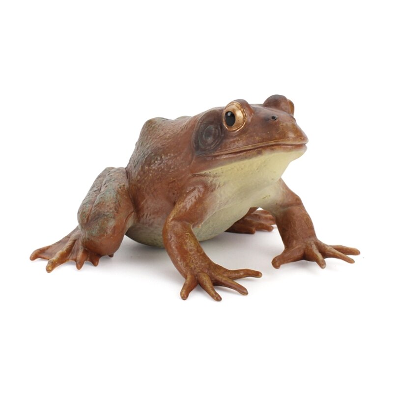 N84E Funny Plastic Made Realistic Frog Trick Scary Accessories Party Favor Supplies Kids Relieve Boredom: Deep Blue