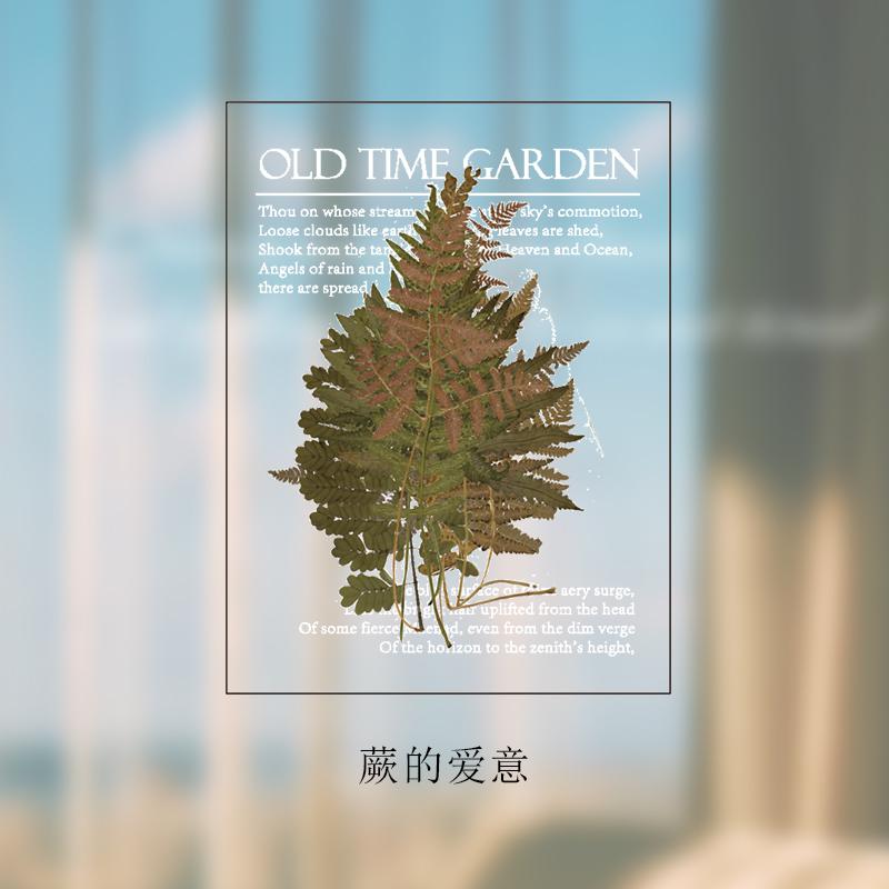 40 Stks/pak Vlinder Paddestoel Huisdier Decoratieve Sticker Briefpapier Stickers Set Diy Craft Label: D