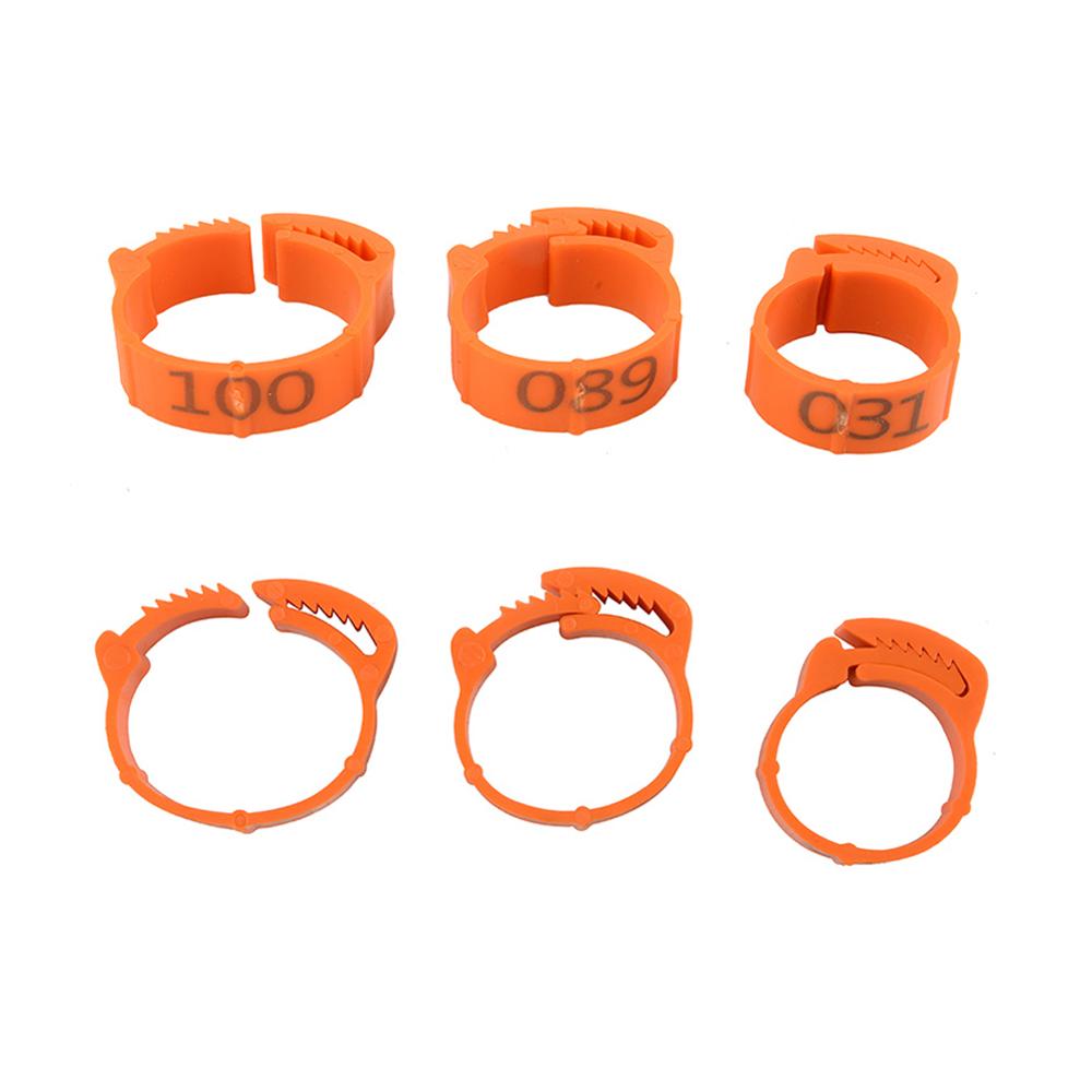 100Pcs/Kleur Verstelbare Kip Voet Ringen Binnendiameter Size 2 ~ 2.4Cm Kip Gevogelte Flexibele Intrekbare Voet ringen 6 Kleuren
