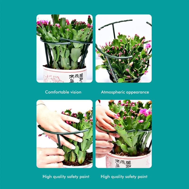 Green Half Round Plant Cage Holder Plants Support Stand Plant Climbing Frame for Morning Glory Crab Cactus