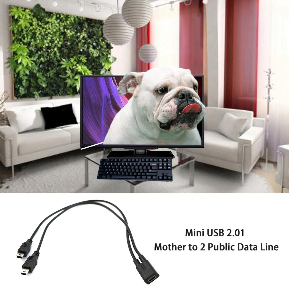 1 to 2 y splitter kabel usb 2.0 mini 5- pin hun til dobbelt 2 han konverter