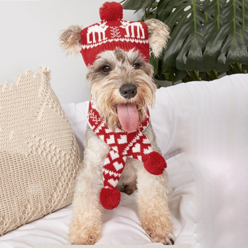 Conjunto de gorro y bufanda de punto para mascota, traje de invierno cálido para cachorro, Chihuahua, accesorios de Navidad