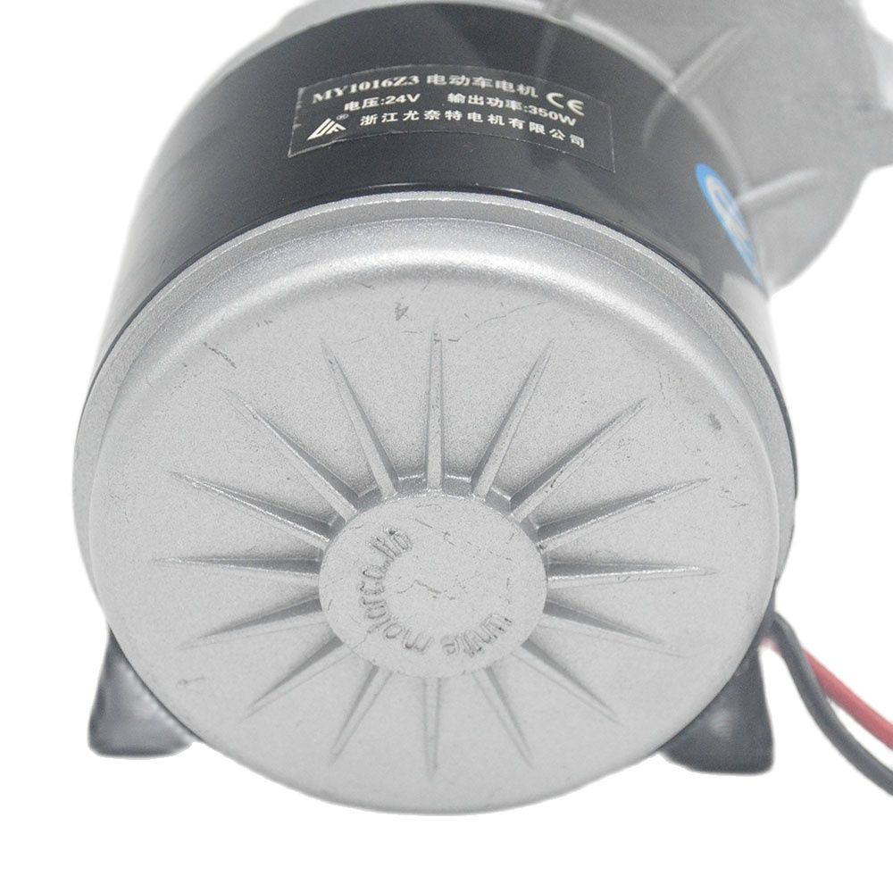 24V/36V 350W Electric Bike Tricycle Brush DC Motor Gear Brushed Motor for E bike motorcycle electric scooter