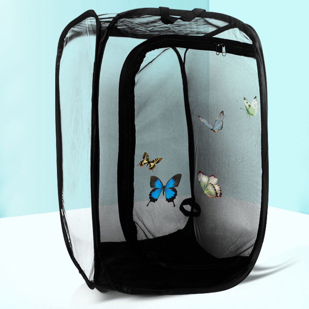 Jaula plegable de malla para insectos, jaula para insectos, Mini insectos y jaula para mariposas, Pop-up