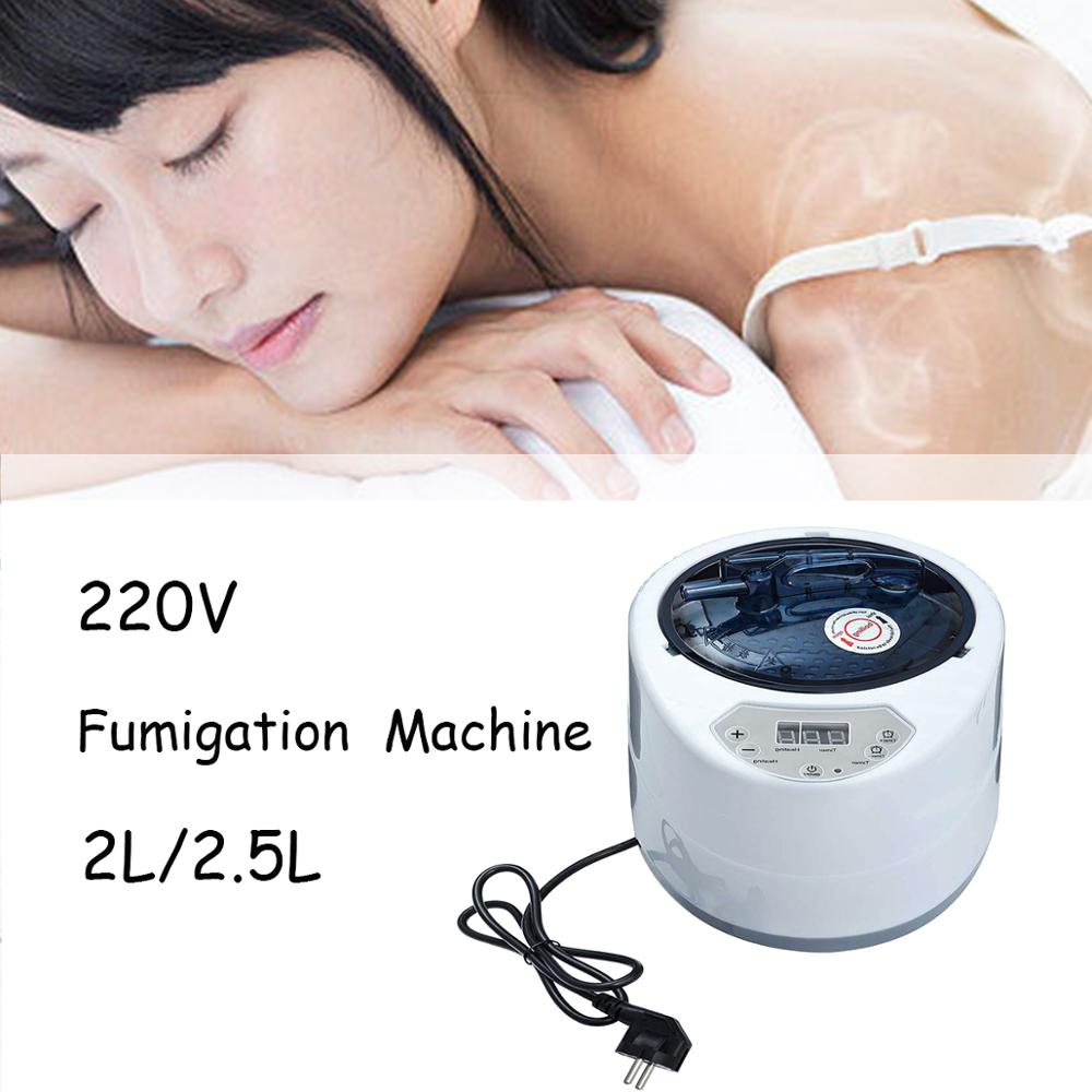 2.0/2.5L Sauna Generator Voor Sauna Spa Tent Lichaam Therapie Begassing Machine Thuis Stoomboot Therapie Geschikt Voor Keuken