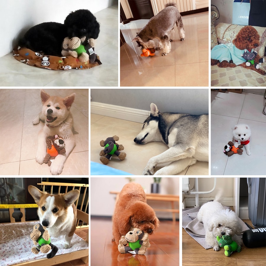 Hoopet hondenspeelgoed voor honden, puppy speelgoed voor grote honden, pluche piep, interactieve hondenbal