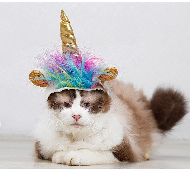 Lemmikkikissa yksisarvinen päähineet hattu halloween cosplay kissa koira lemmikki asusteet kissanpentu pentu lippalakki lemmikki juhla syntymäpäivä