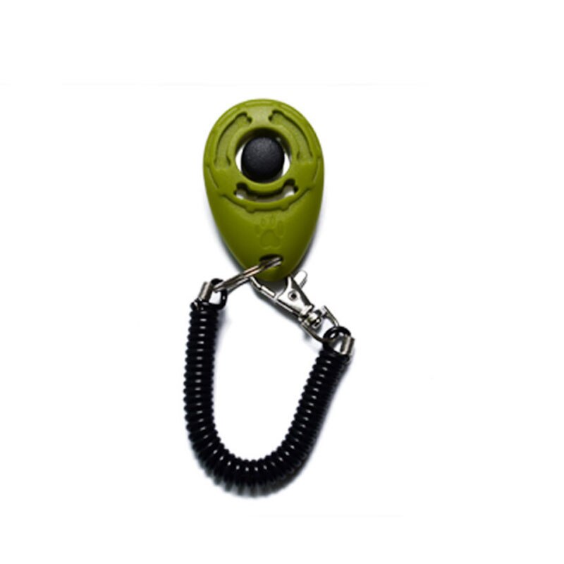Correa de plástico inteligente para adiestramiento de perros, accesorio para entrenamiento de mascotas, 10 unids/lote: Verde claro