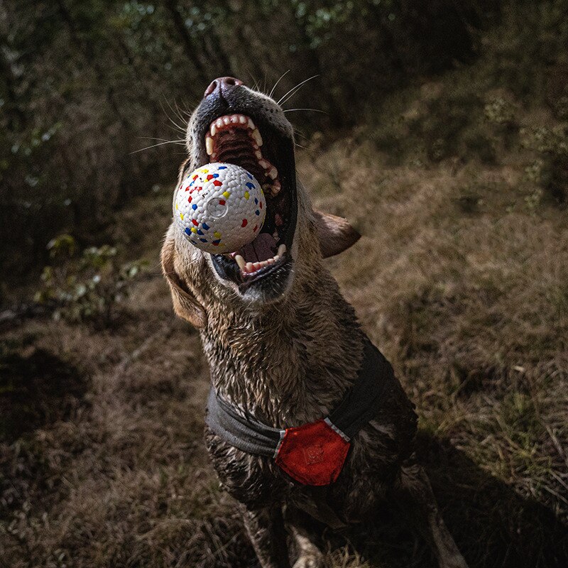 Interactieve Hond Speelgoed Bal Speelgoed Voor Kleine Grote Honden Agressieve Kauwers Oefening Bal Speelgoed Voor Hond Training Accessoires Voor Honden