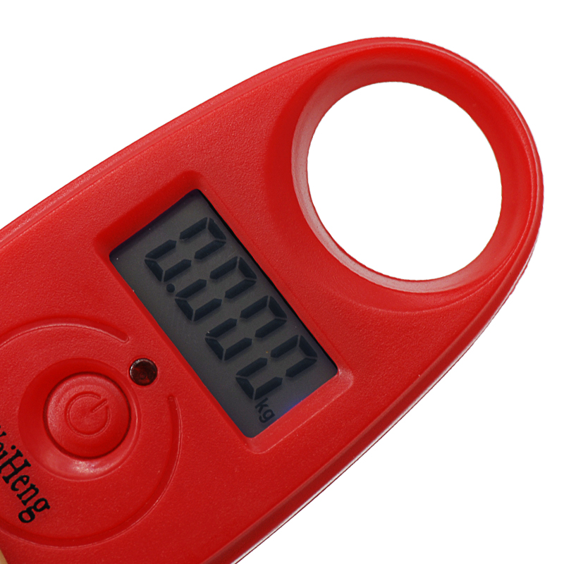 Mini báscula Digital electrónica de 25Kg y 5g, báscula electrónica para equipaje de bolsillo con peso para pesca, gancho para colgar, Mini balanza de pesaje LCD
