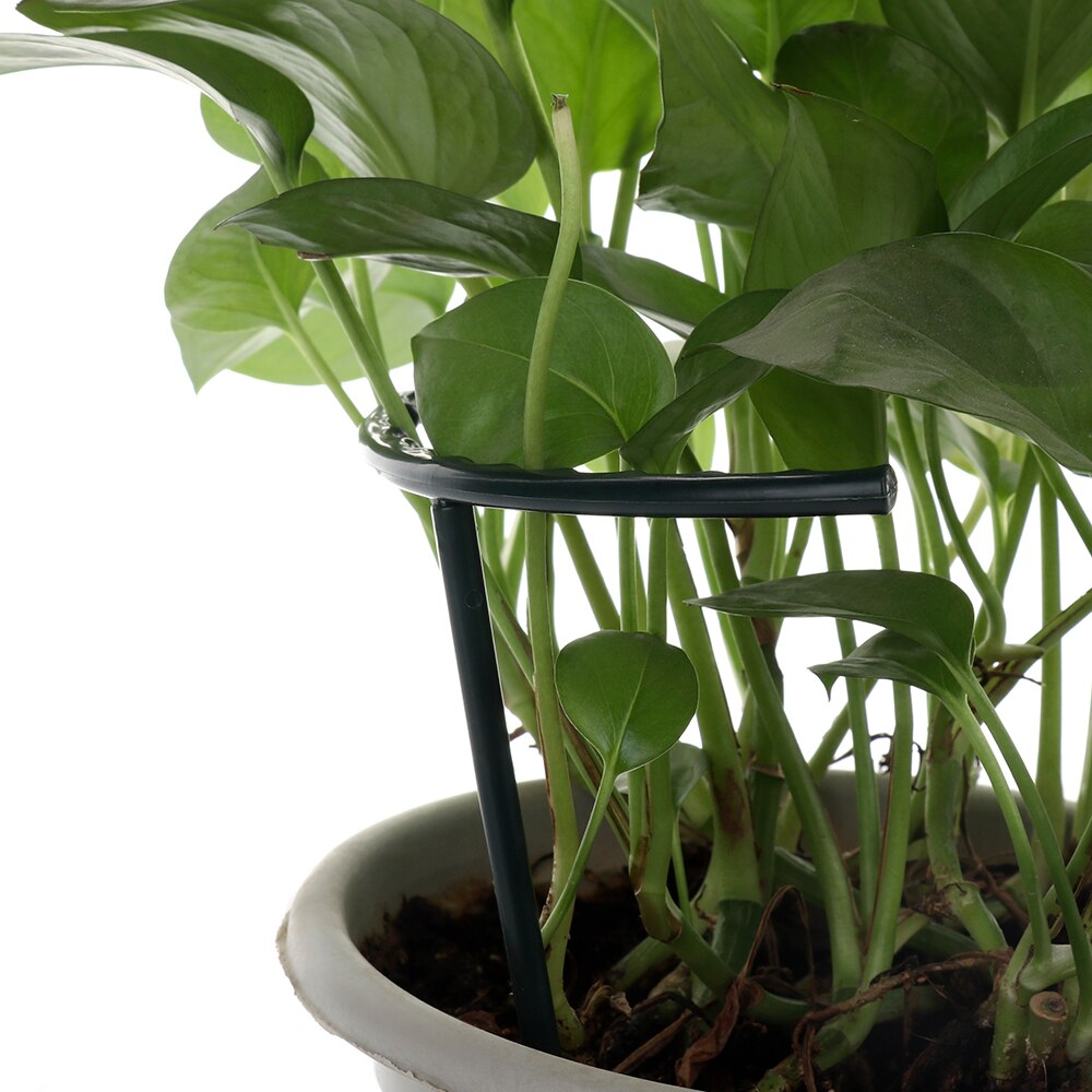 2 stk /6 stk buet diy plast plantestøtteramme pottebrakett hylle klatreblomst fast plante hage vinstokker feste