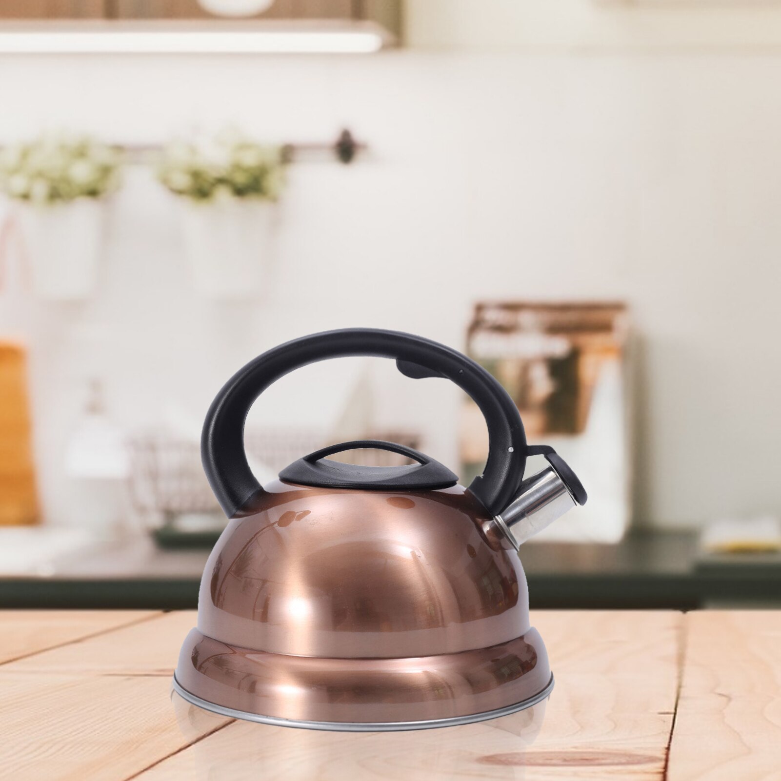 3L Stainless Steel Whistling Tea Kettle With Heat-proof Handle For Coffee Tea