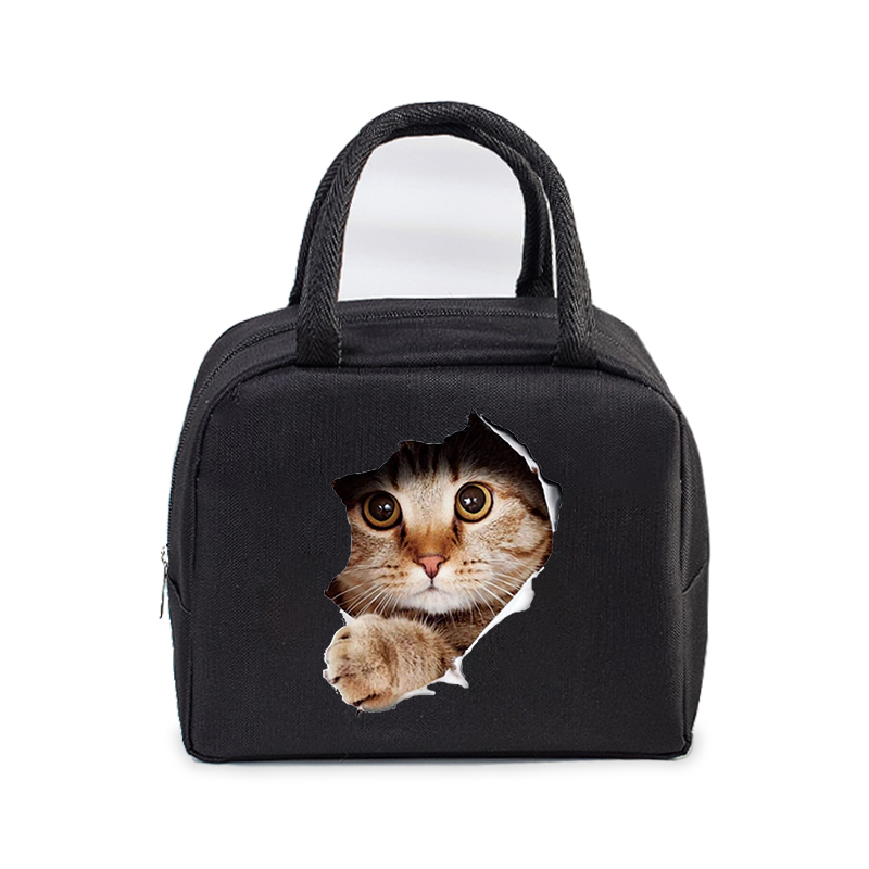 Lunch Bag for Women Men Insulated Portable 3D Cartoon Cats Multifunctional Bag Thermal Food Container School Kids Picnic Handbag: Brązowy