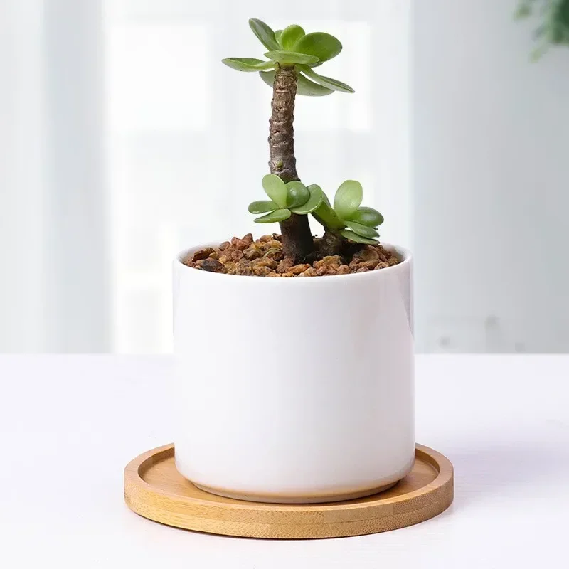 Multi Bambus Bakke Træ Underlag Blomsterpotte Bakke Kop Pad Dækkeserviet Køkken Dekorativ Bakke Kaffekop Mat Dækkeserviet