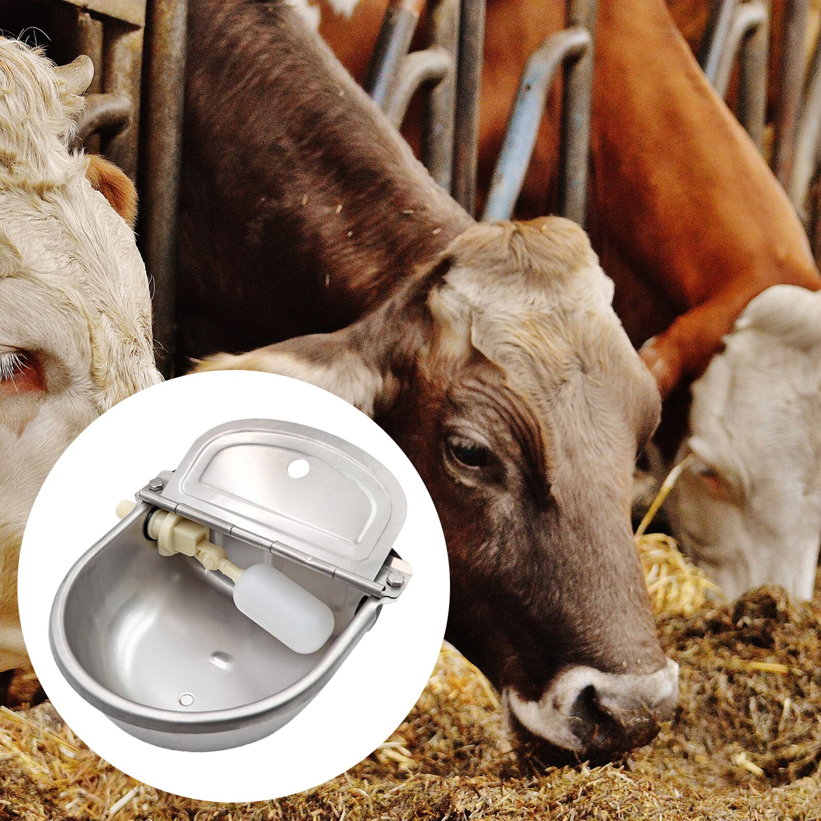 Auto Bowls Feed Cow Cattle Animals Livestocks Waterer Pet Drinker Feeder