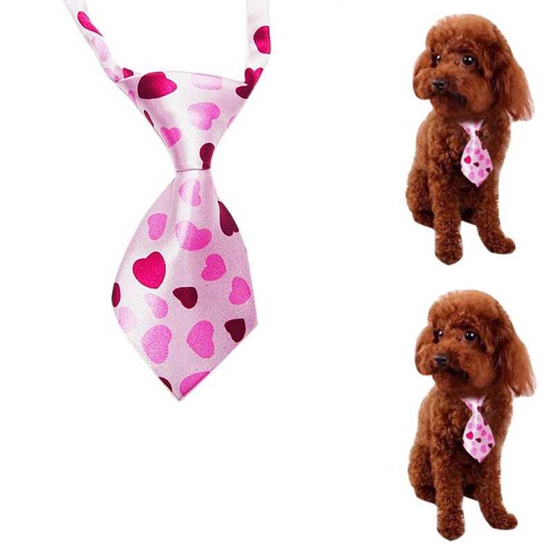 Cravate pour animal de compagnie, jouet pour chien, chat, chiot, chaton noir britannique, joli, pour Festival des animaux de compagnie,