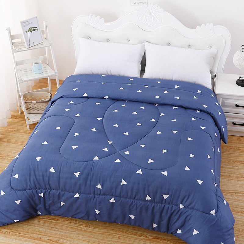 BBSET Thicken and Warm Autumn and Winter Quilt for Students and Adults In Winter Quilt Skinfriendly Bedding Quilt or Mattress: 1.5X2M  1KG / 2