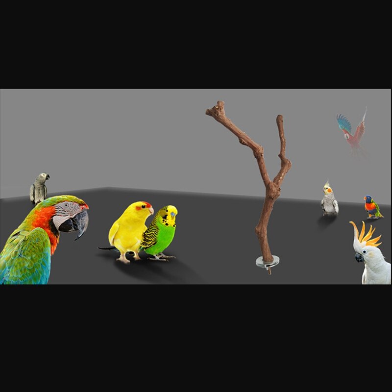 Kæledyr papegøje fugl stående stok vild drue træ fugl cockatiel parakit siddepinde bide klo slibning legetøj fugl bur ac