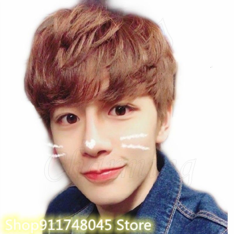 Korean Handsome Natural Men Short Straight Fluffy Short Hair Wig Student Short Curly Hair Wig Natural Looking Brown Wigs Mens