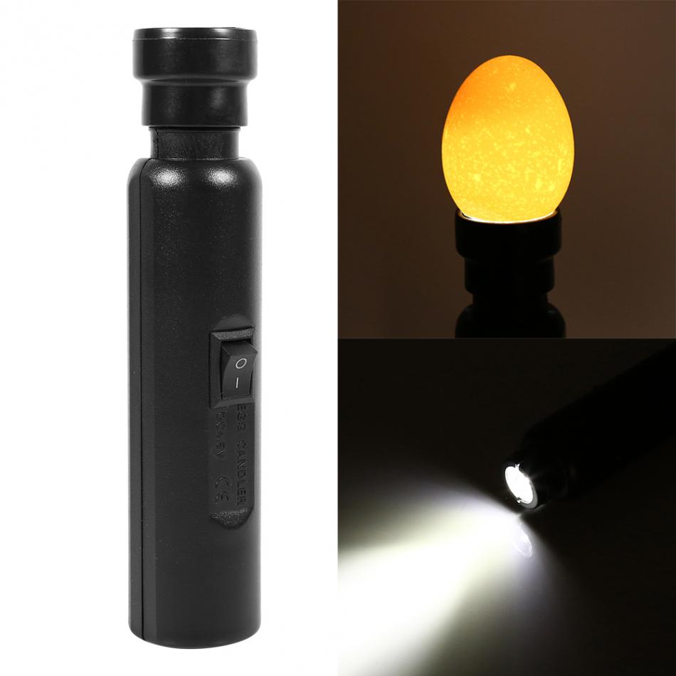 Testeur d'œufs, lampe LED froide, lumière Super brillante