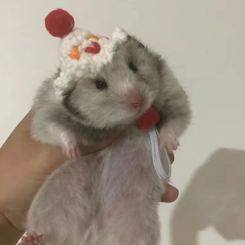 Hand Crocheted Hamster Hat Hamster Accessories Chipmunk Dwarf Rat Small Animal Hat Cute Hamster Clothes Hamster Supplies: 014