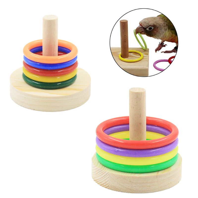 Vogel Papegaai Houten Platform Plastic Ringen Intelligentie Training Chew Puzzel Speelgoed
