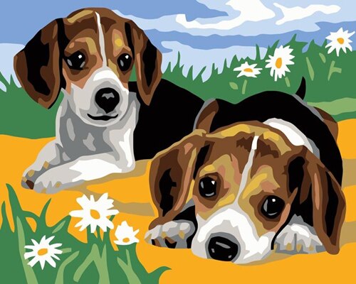 HUACAN, pintura por números, Kits pintados a mano de gatos, pintura al óleo DIY de lienzo para dibujar por números, decoración para el hogar,: SZHC271