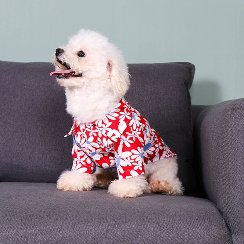 T-shirt à deux pattes en coton avec imprimé de chrysanthème pour chien, gilet d'été à boutons, produit pour animaux de compagnie, fournitures pour chiens, nouveauté
