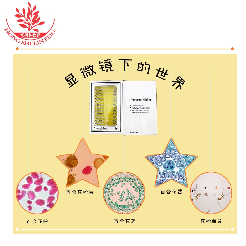 Biologie Onderwijs Apparatuur Kinderen Hoge Permeabiliteit Plastic Specimen Microscoop Met 12 Bloem Plakjes