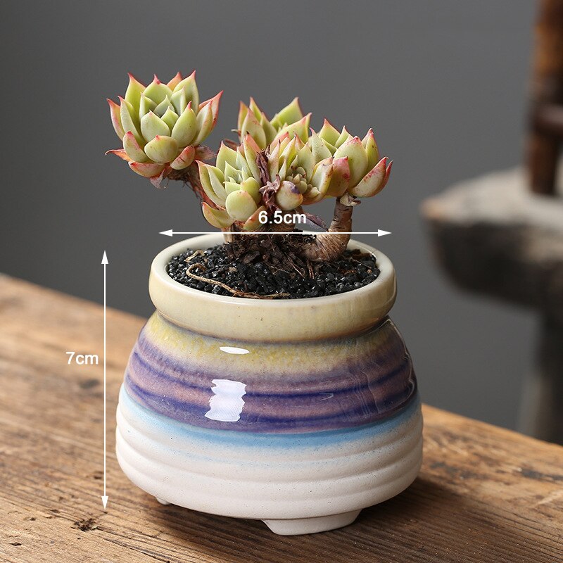 Macetas Suculentas De Cerámica Nórdica Con Agujeros Geométricos Mini Macetas Vidriadas Macetas De Jardineria Oficina Escritorio Bonsai Macetas Estilo 7 Dynwavemx Maceta Suculenta