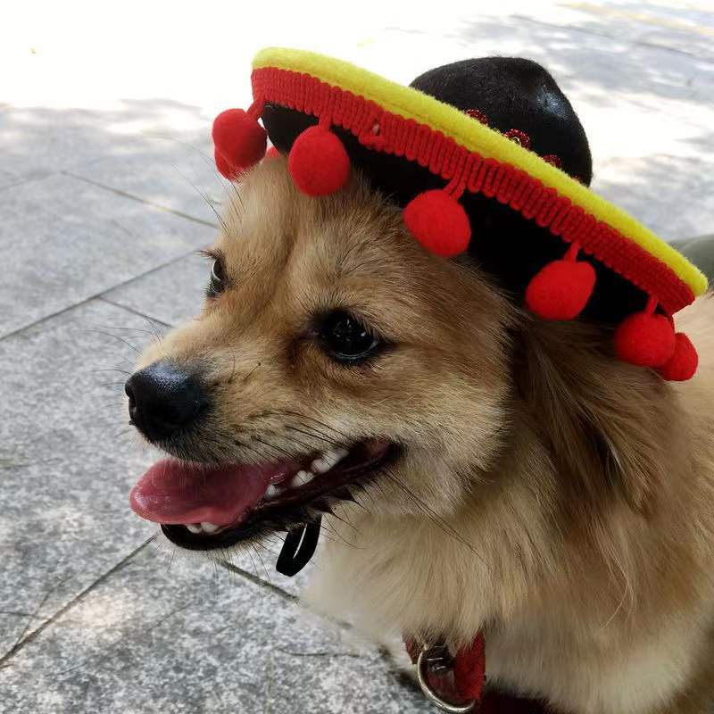 Mini Pet Hond Kat Zonnehoed Beach Party Stro Hoed Hond Mexicaanse Stijl Hoed Mexicaanse Stijl Fun Stro Sombrero accessoires