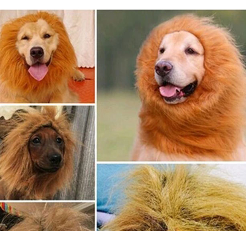 Ropa de Cosplay para mascotas, disfraz de transfiguraciOn, melena de León, peluca cálida de invierno, gato, perro grande, decoración de con oreja, ropa para mascotas