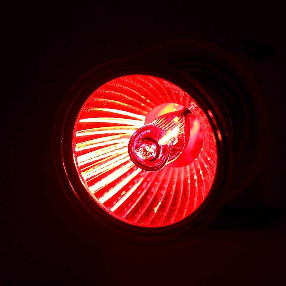 BENE 4-Pack Reptile Heating Bulb Night Red Halogen Lamp for Brooder,Turtle Lizard Chameleon Bearded Dragon Amphibian Terrarium