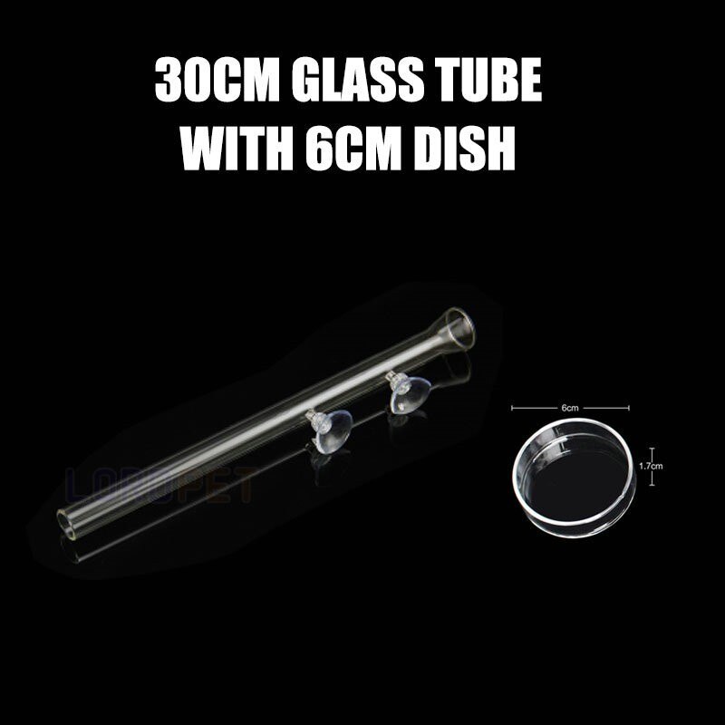 Aquarium Glas Feeder Transparante Buis Kom Garnalen Feeding Met 6 Cm Ronde Schotel Veilig 6 Size: 30cm