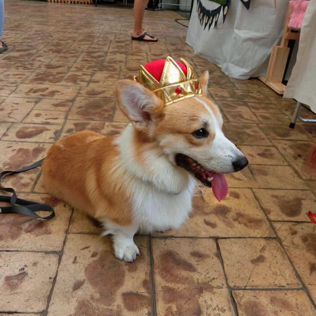 Huisdier Verjaardag Hoed Cute Crown Crystal Verjaardag Cap Hond Grappige Hoofddeksels Voor Honden Katten Huisdier King &#39;S Hoed Pet Party cosplay Prop