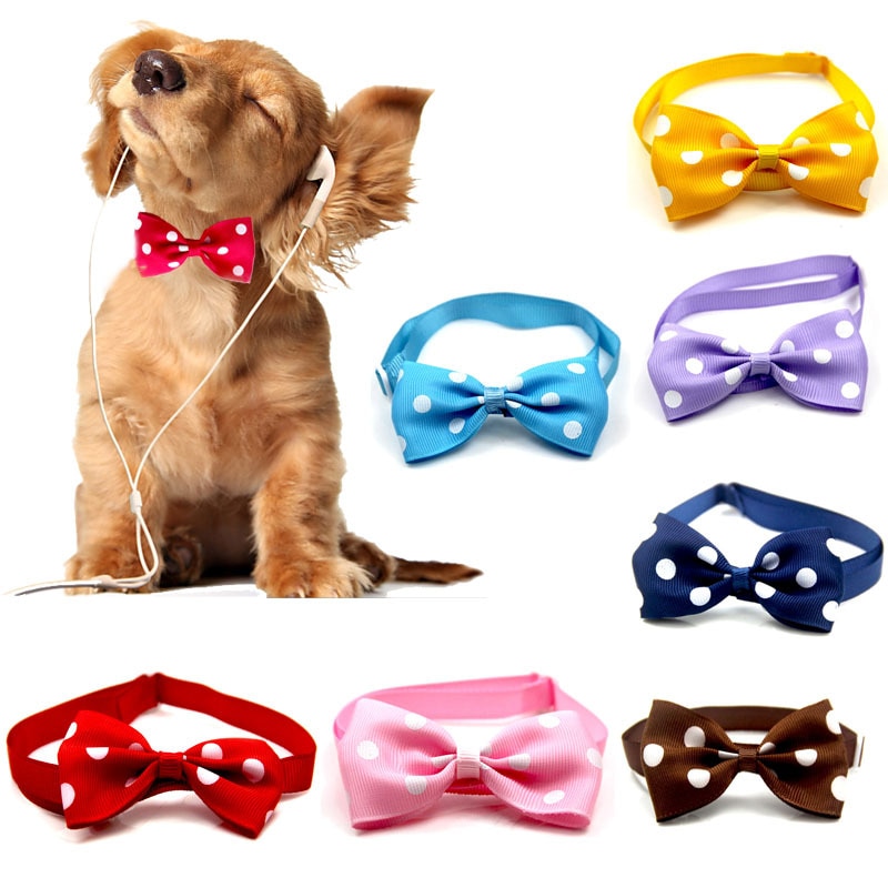 Noeud papillon pour chien, mignon, accessoire multicolore pour animaux de compagnie, joli point, pratique pour les petits chiens