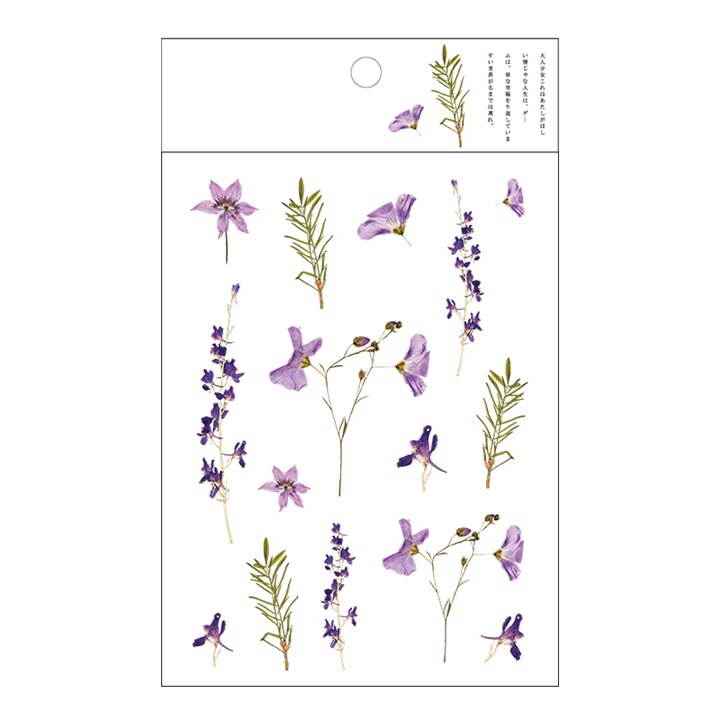 Kokorosa12 Designs Natural Daisy Clover Japanese Words Stickers Transparent PET Material Flowers Leaves Plants Deco Stickers: Green