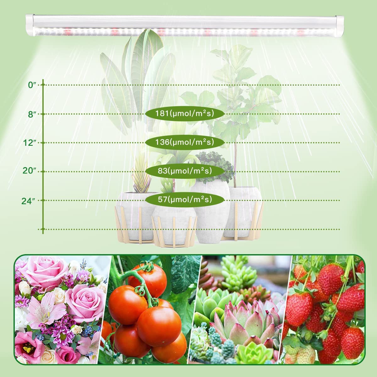 51LED T5 Grow Lights Red White Full Spectrum High PPFD Plants Light Strips Expandable Greenhouse Seedlings Phyto Lamp Plug Mains